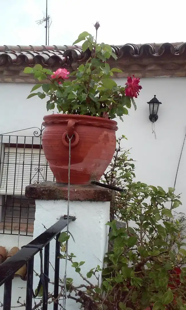 Garden of Houses for sale in Córdoba  with Air Conditioner, Heating and Storage room
