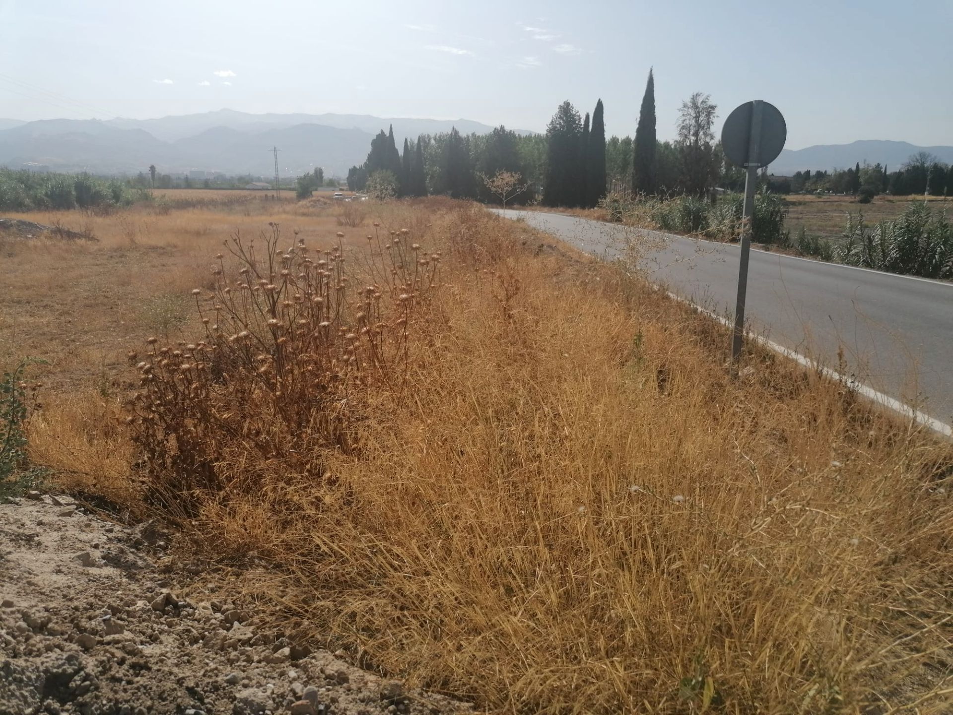 Terreno en venta en  Granada Capital