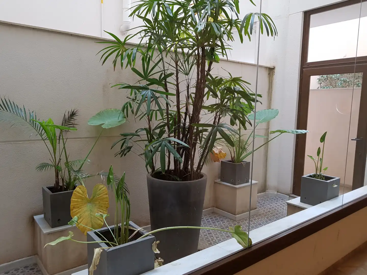 Terrasse von Wohnung zur Miete in Málaga mit Klimaanlage, Heizung und Parkett