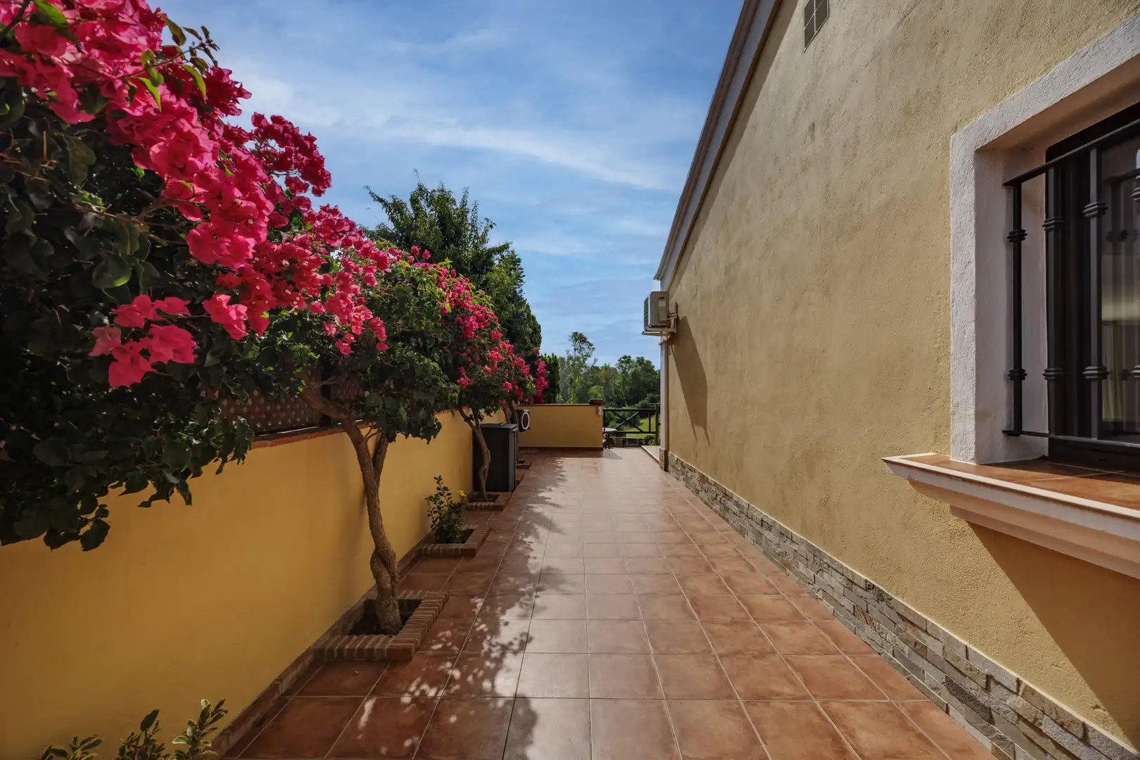 Casa amb terrassa en venda a San Pedro de Alcántara, imagen 36