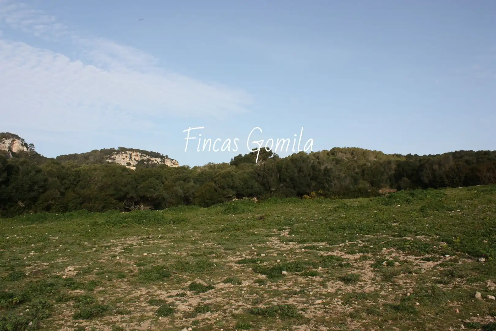 Finca rústica en venda en Alaior