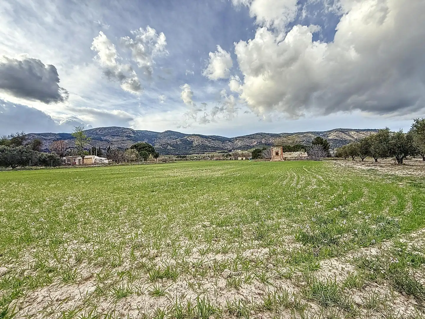 Rural land for sale in Partida Polígono 12 Parcela 103 CAÑARETS. ONIL (ALICANTE, imagen 2