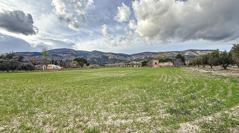 PARCELA DE TERRENO RUSTICO DE 14.885 EN LA MARJAL DE ONIL, immagine 2