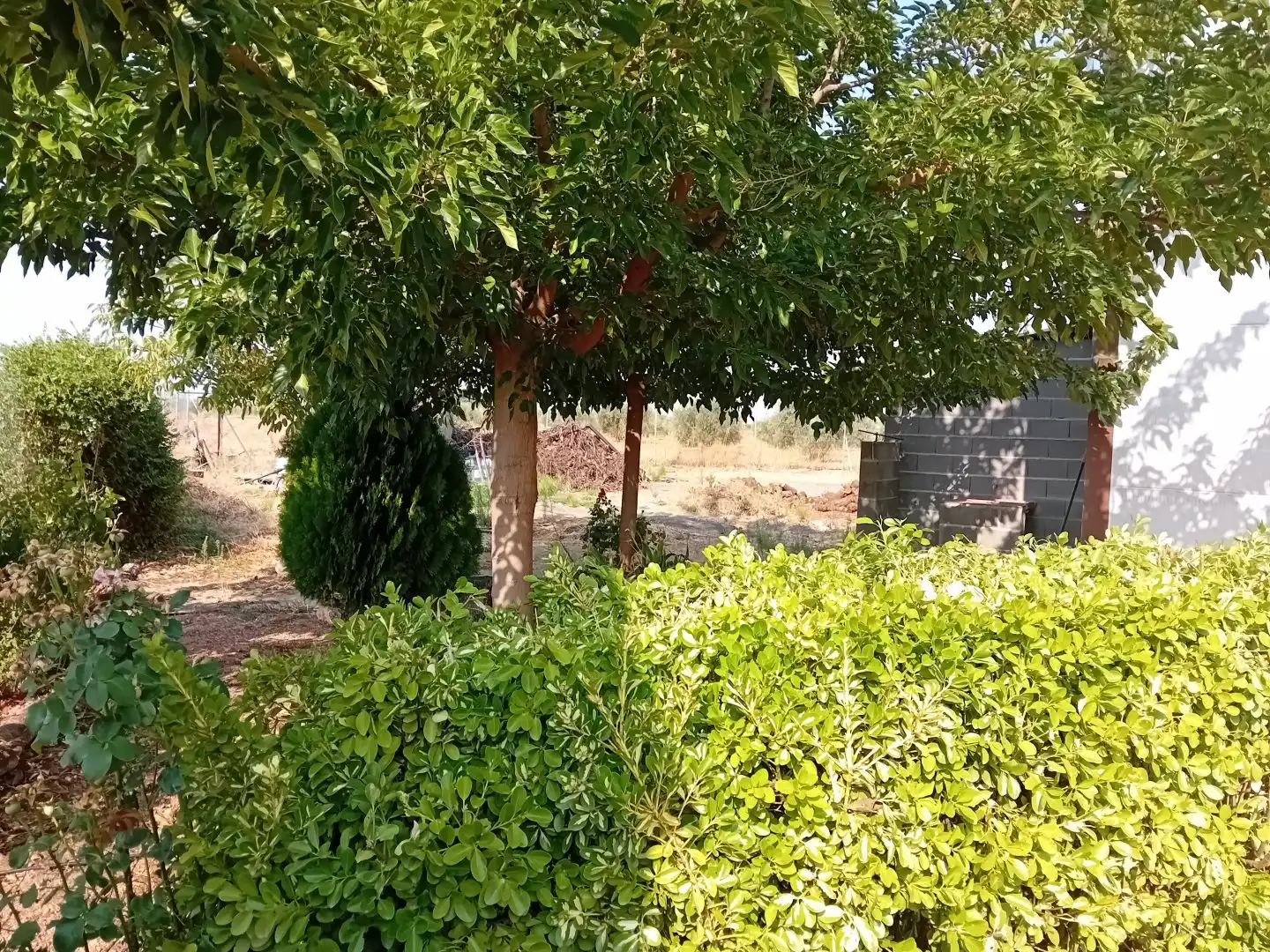 Nau industrial en venda en Ciudad Real