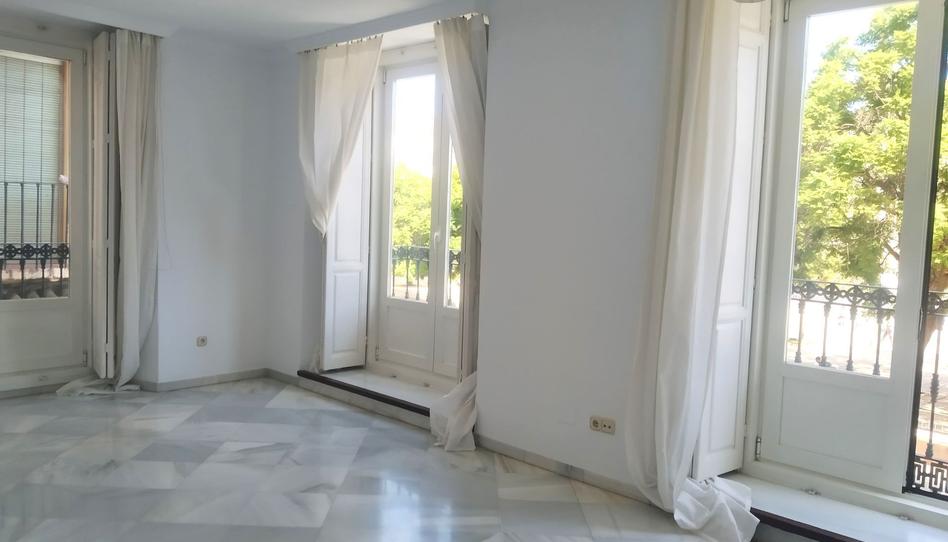 Foto 1 de Piso de alquiler en Plaza Merced, La Merced, Málaga