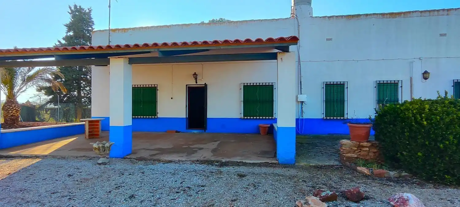 Vista exterior de Casa o chalet en venta en La Solana   con Jardín privado, Terraza y Trastero