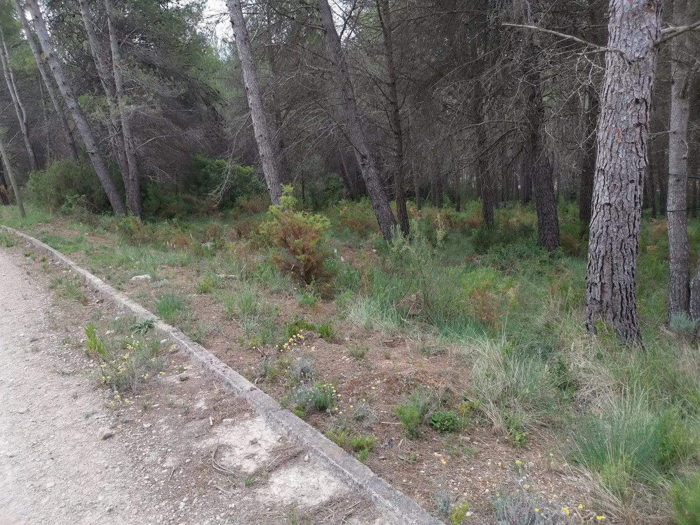 Terreny residencial en venda a El Montmell, imagen 10