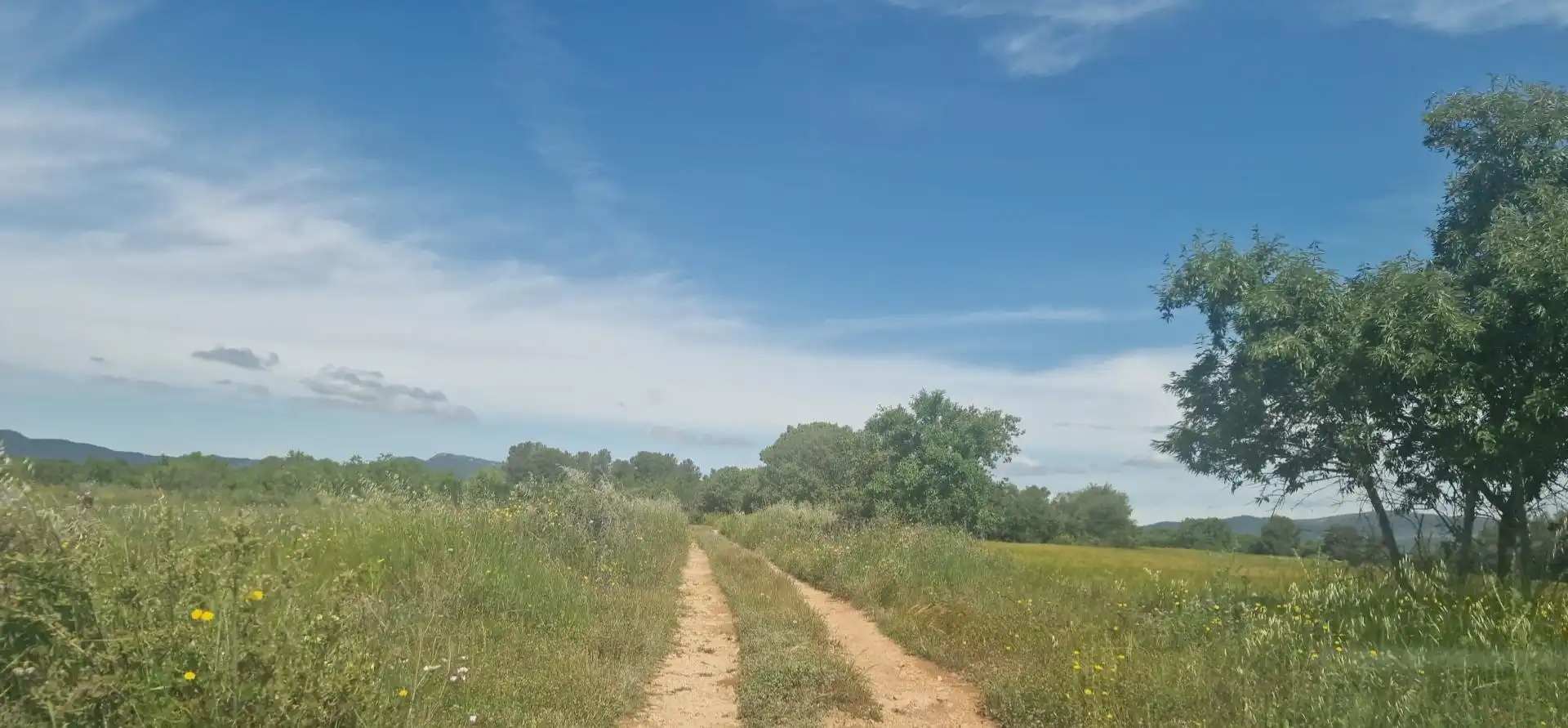 Terreno rustico in vendita a Valls, imagen 7