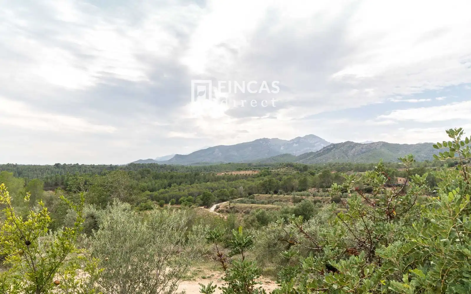 Finca rústica en venta en Benifallet con Trastero y Amueblado