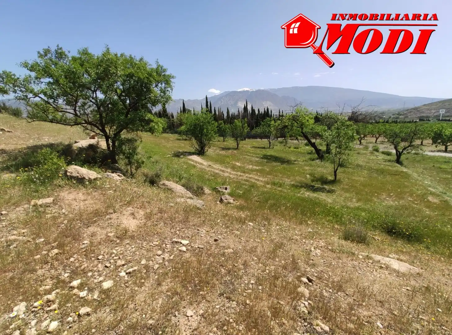 Lands and plots for sale in Villamena, imagen 2