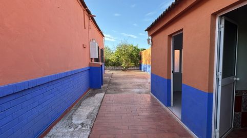 Foto 4 de Finca rústica en venda a Pilas, Sevilla