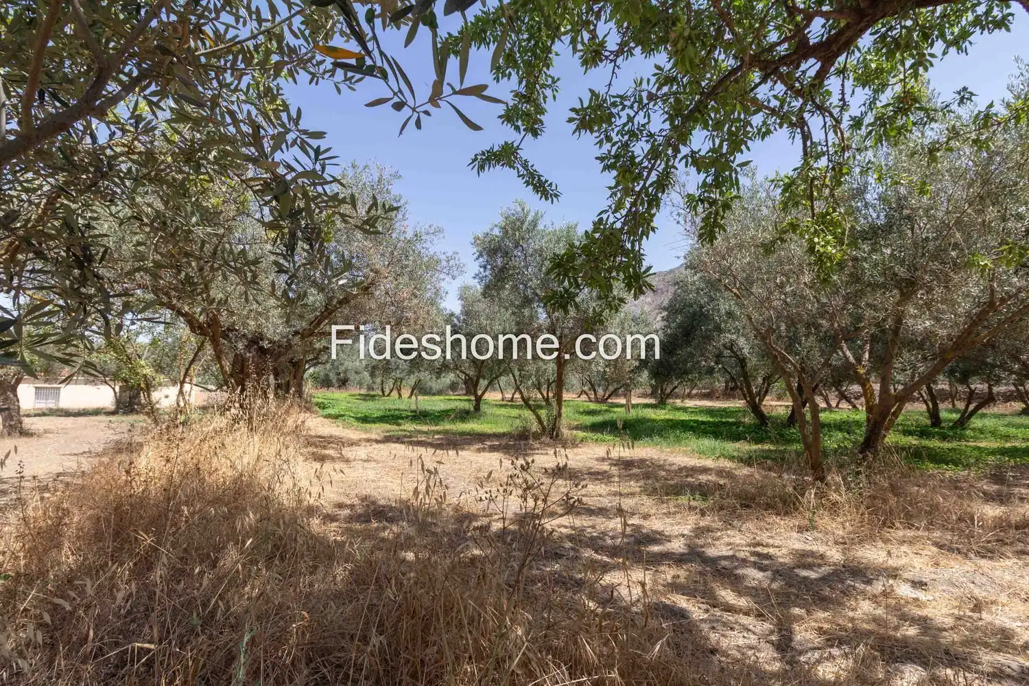Rural land for sale in XFG2+MG9 Nigüelas 0, imagen 24