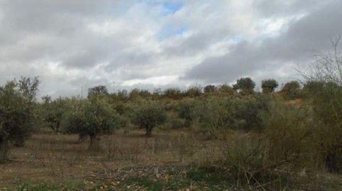 Parcela en venta en Quer., immagine 2