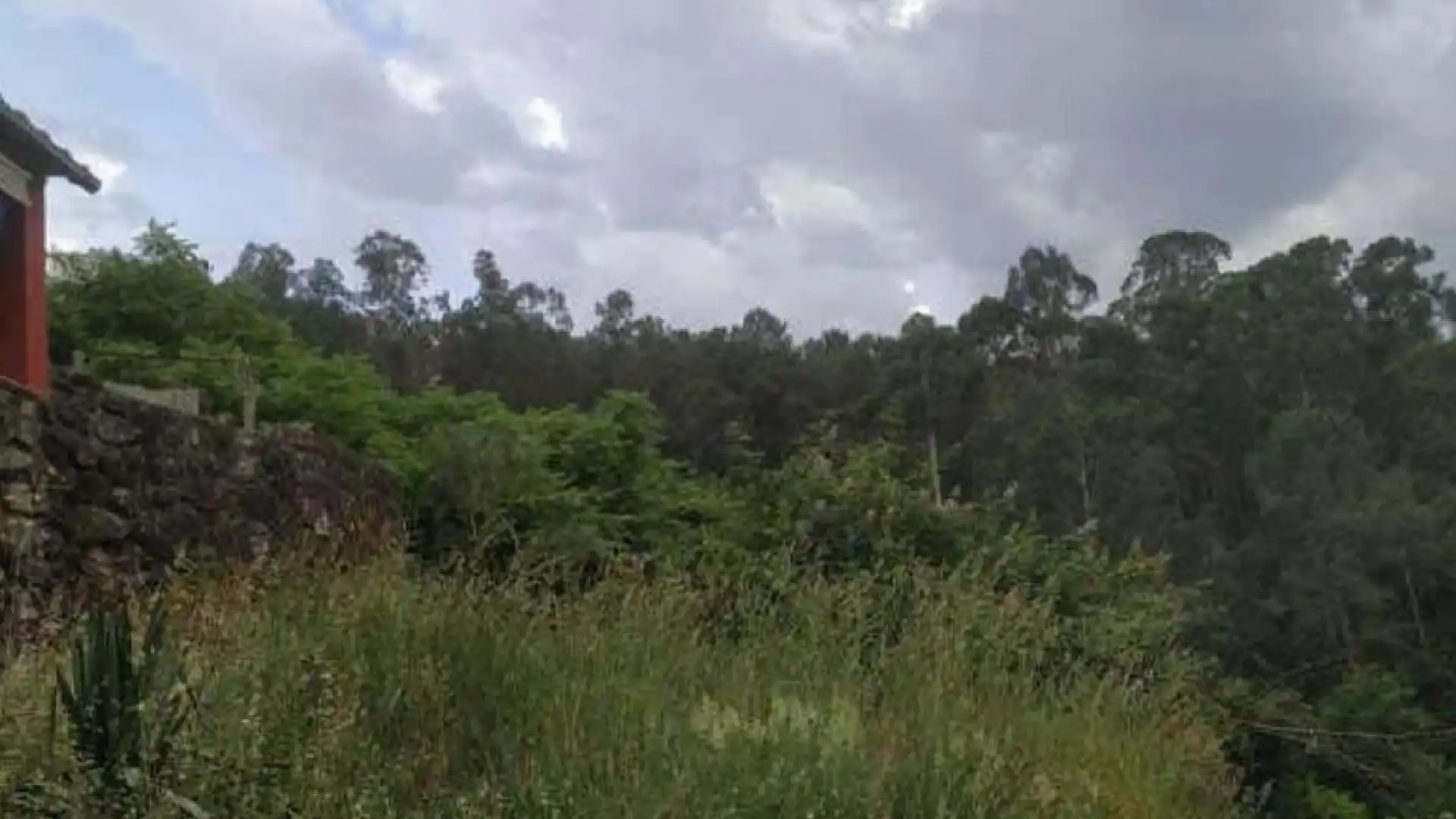 Land for sale in Crecente