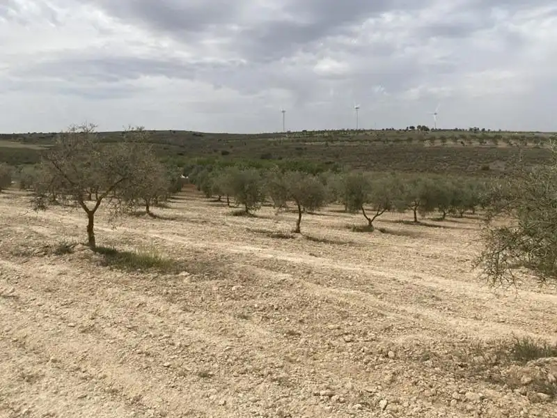 Casa rústica en venda a Padul, imagen 12