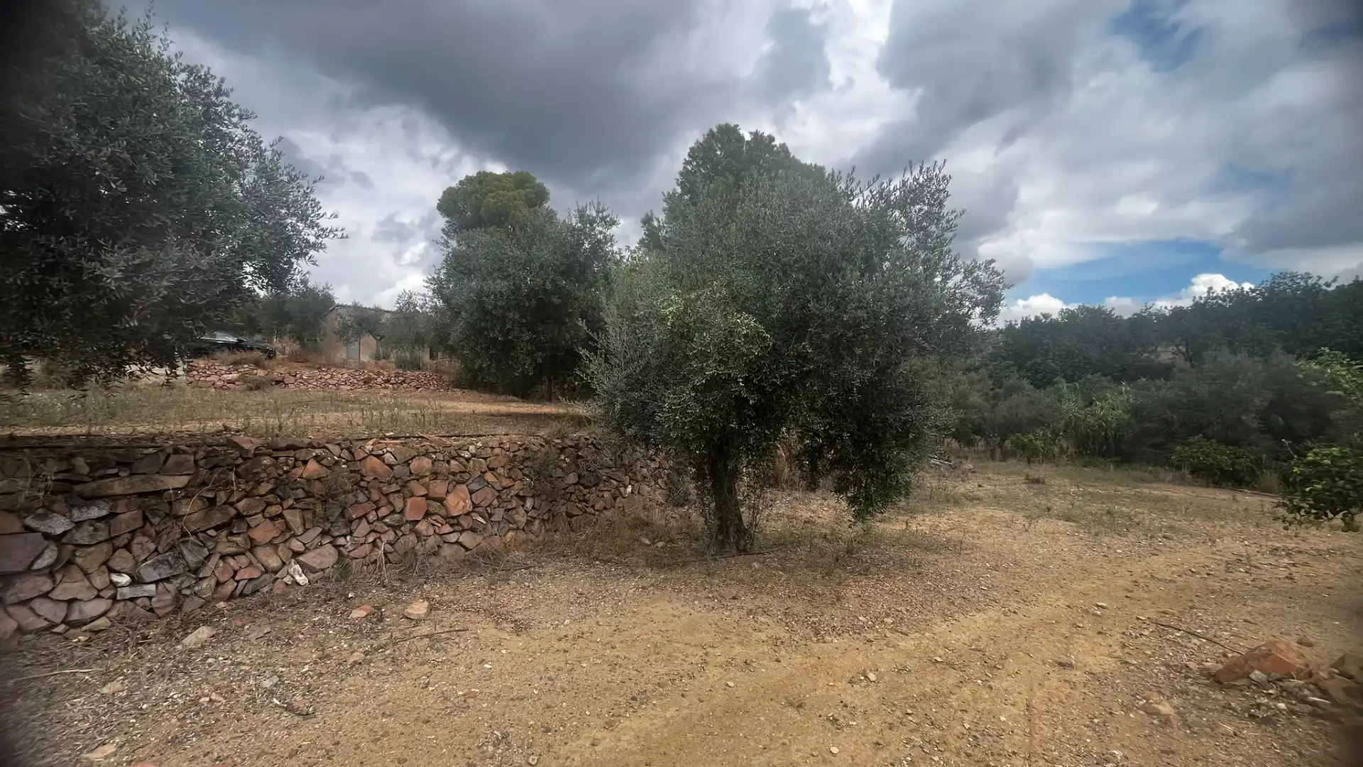 Terreno rustico in vendita a Carrer de Sant Abdó i Sant Senén, imagen 38