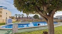 Swimming pool of Planta baja for sale in Torrevieja  with Air Conditioner, Terrace and Balcony