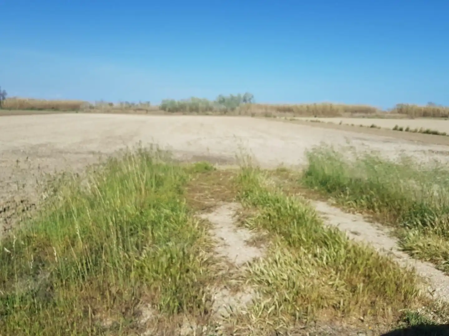 Finca rústica en venta en La Ràpita
