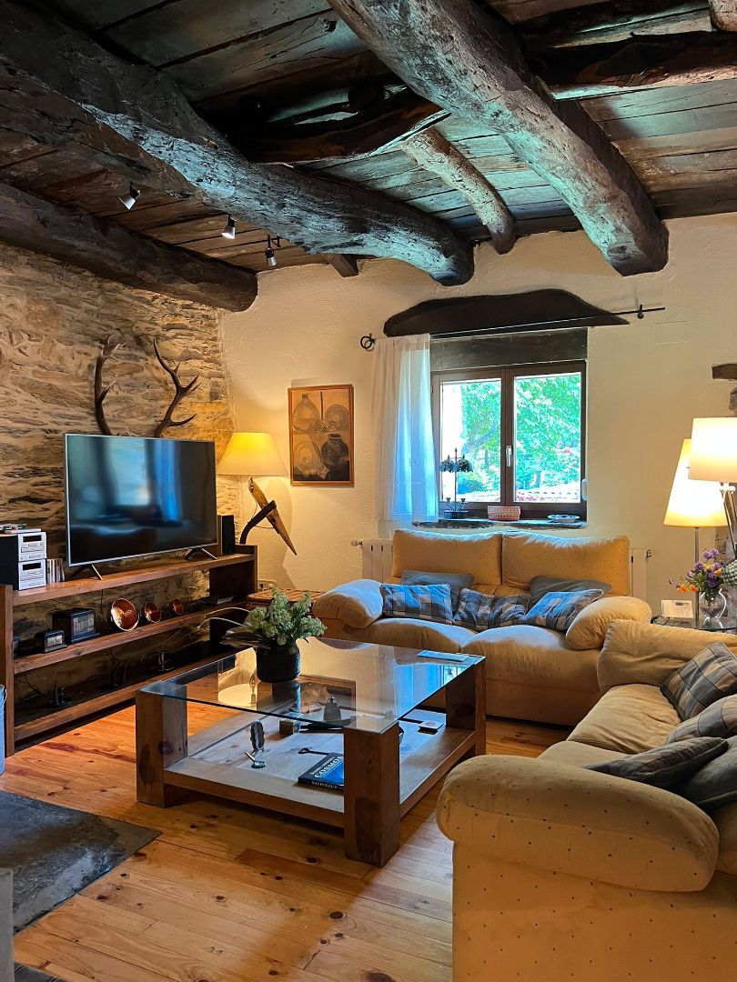 Living room of House or chalet for sale in Puebla de Sanabria  with Air Conditioner, Heating and Private garden