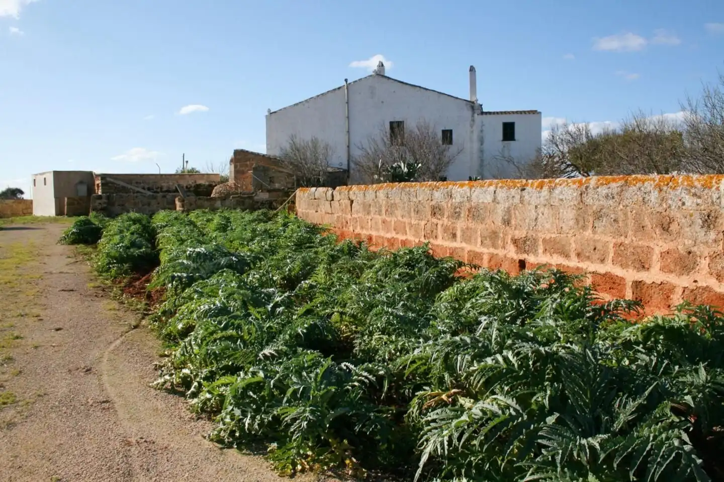 Landhaus mit Pool zum Verkauf in Cala Blanca, imagen 35
