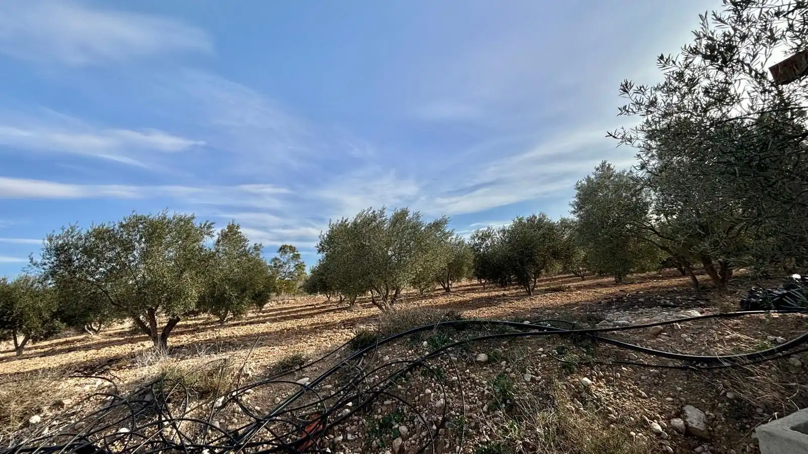 Rustikales Grundstück zum Verkauf in Pedanías Este, imagen 14
