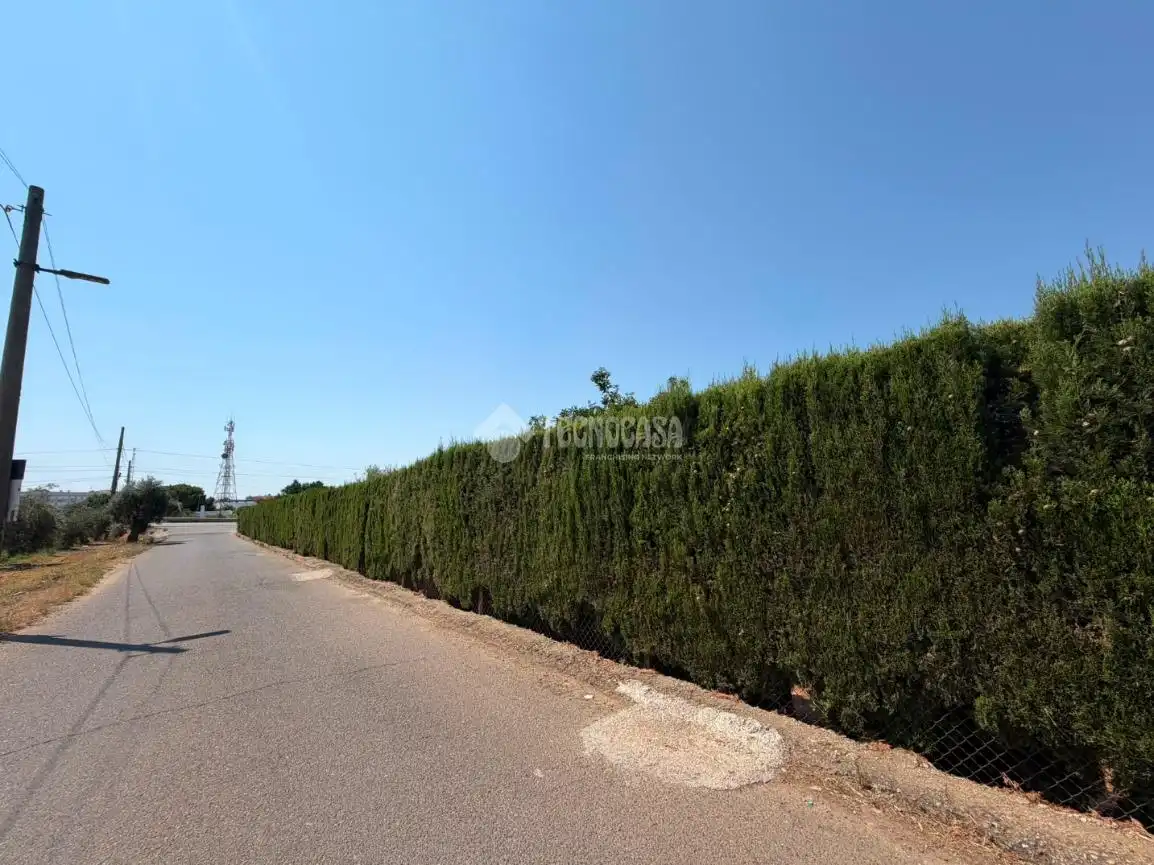 Terreni e lotti in vendita a Pedanías Norte, imagen 38