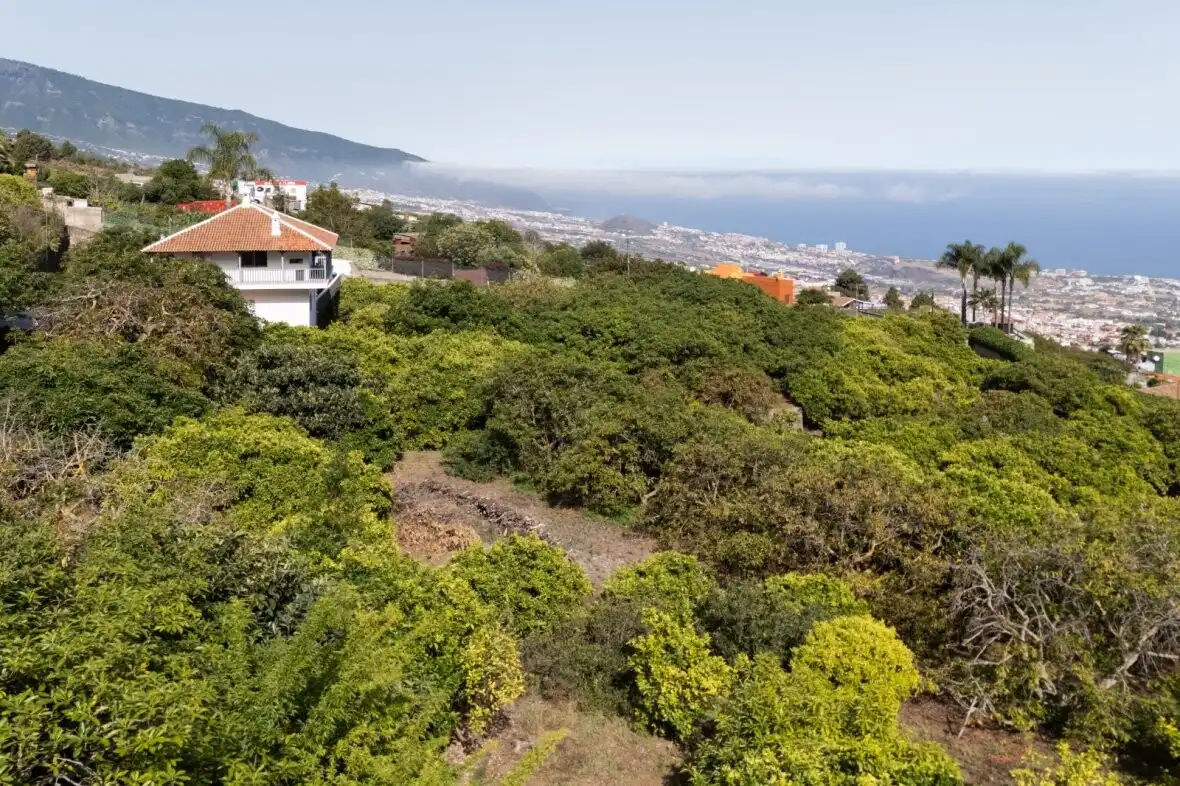 Vista exterior de Finca rústica en venda en La Orotava amb Terrassa