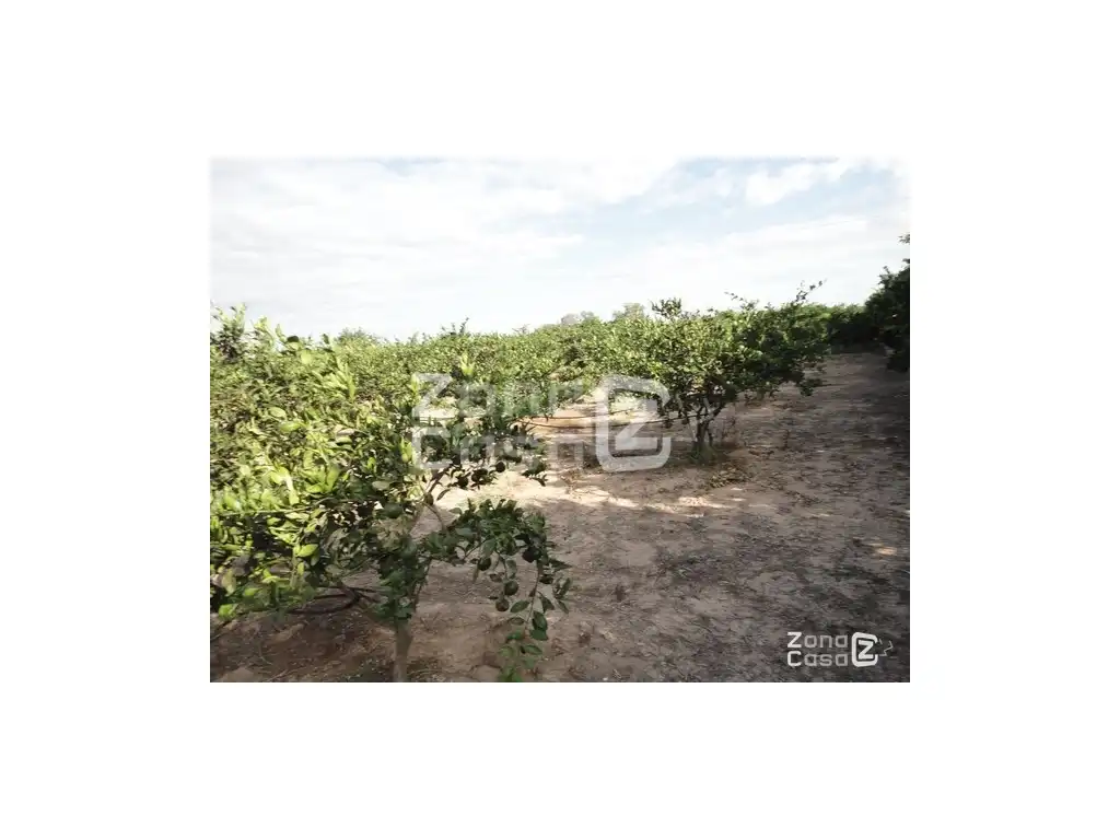 Maison rustique à vendre à Poligono Num 31, imagen 5
