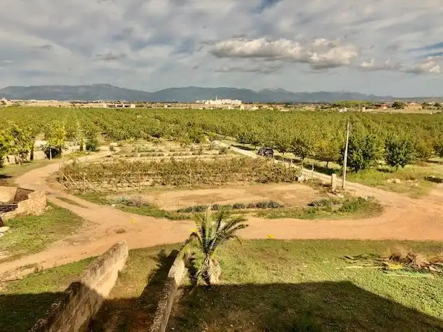 Casa rústica con terraza en venta en Llevant, imagen 36