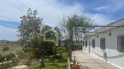 Foto 3 de Finca rústica en venda a Viña Málaga, Vélez-Málaga