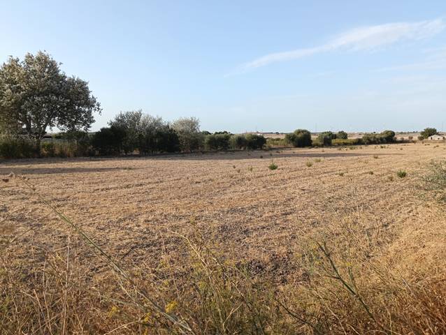 Terreno en Venta en Los Perales, 16 en Carretera de Sanlúcar - Sudamérica