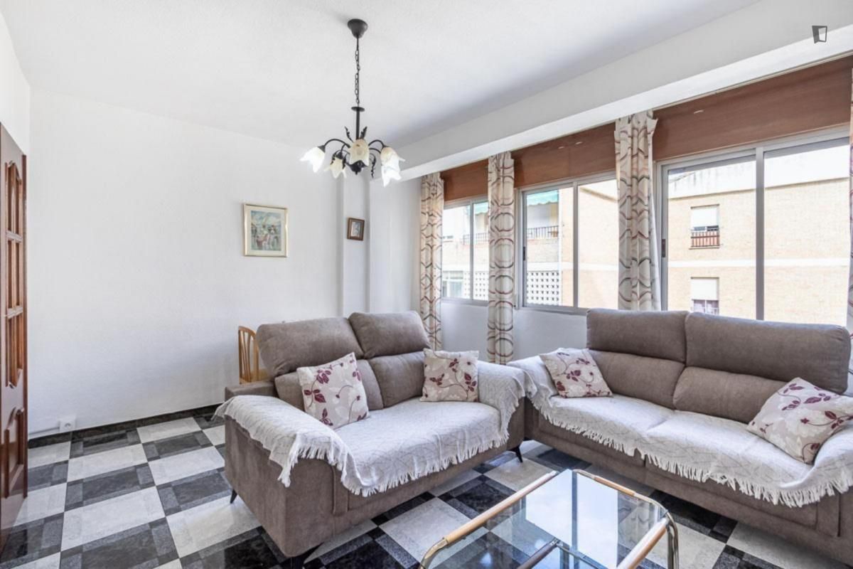 Living room of Apartment to rent in  Granada Capital  with Furnished, Oven and Washing machine