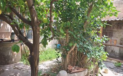 Garden of Single-family semi-detached for sale in  Palma de Mallorca  with Private garden