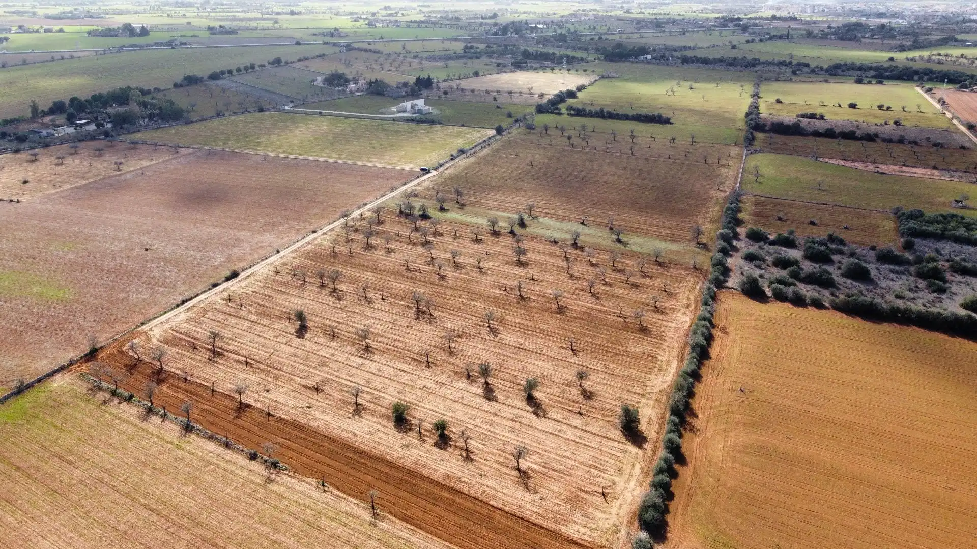 Lands and plots for sale in SA SERRA