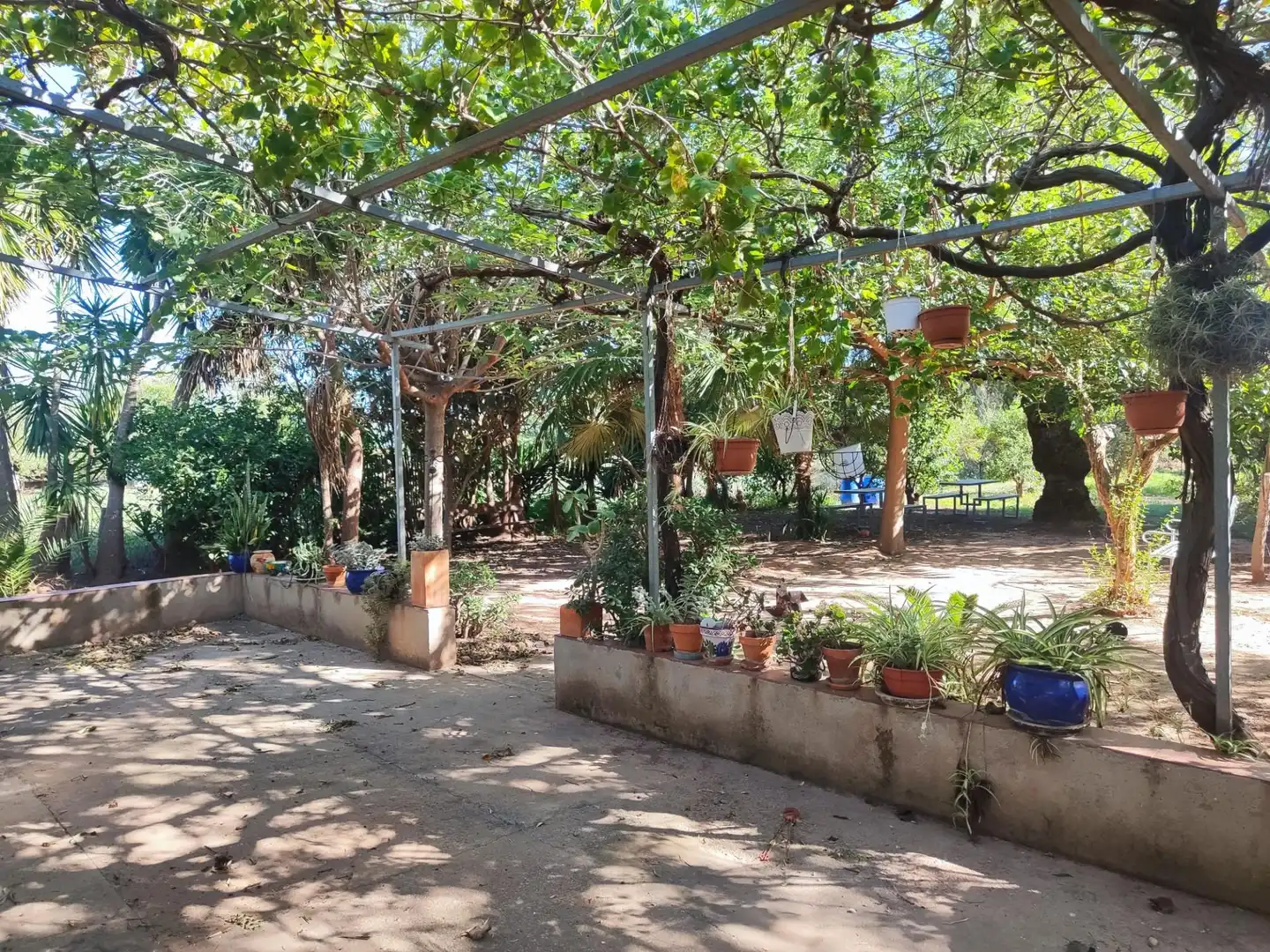 Casa con jardín en venta en Moncada, imagen 3