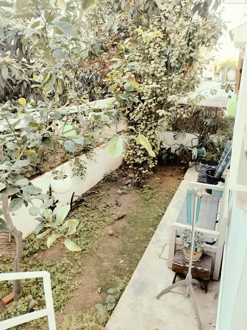 Jardí de Casa o xalet en venda en  Palma de Mallorca amb Aire condicionat, Jardí privat i Terrassa