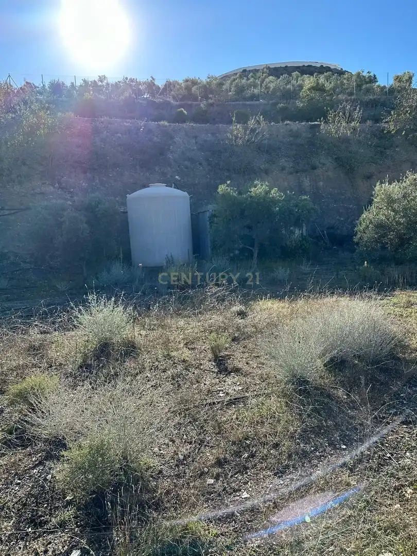 Terreny rústic en venda a Polígono 13 parcela 750, imagen 10