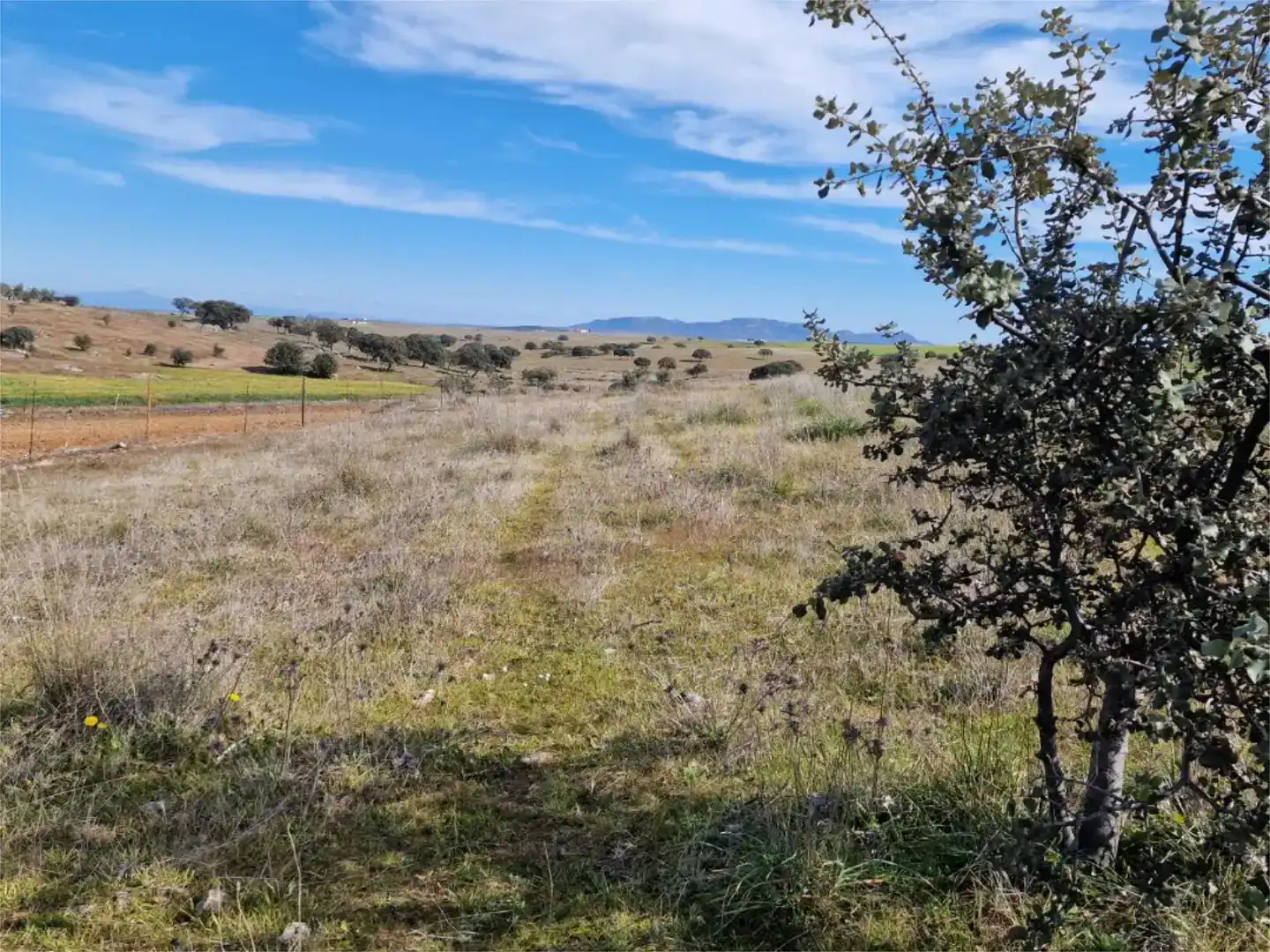 Land for sale in La Coronada, Badajoz