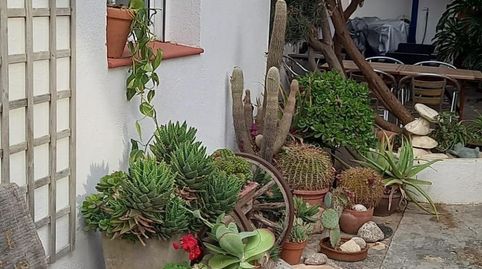 Foto 4 de Casa adosada en venta en Eucaliptus - Poble Nou del Delta, Amposta