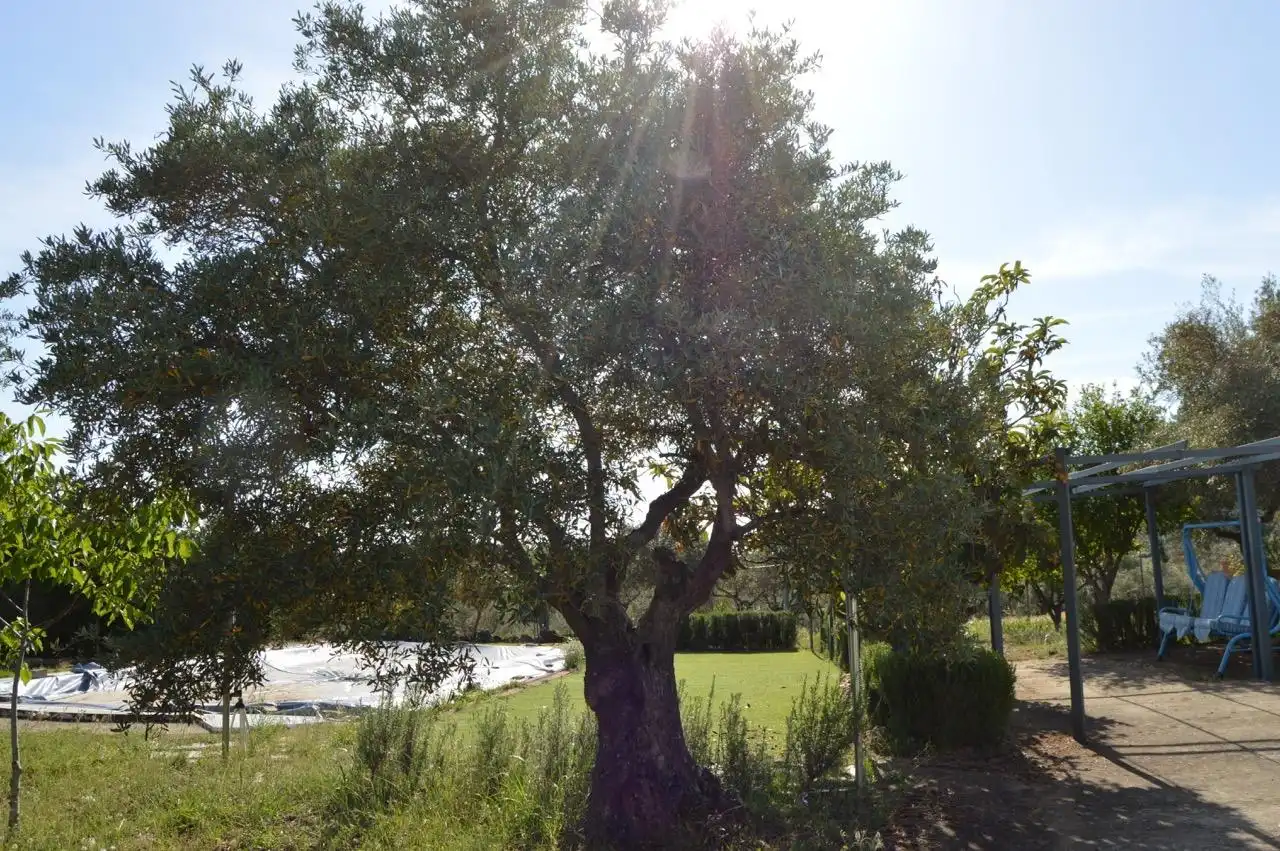 Jardín de Finca rústica en venta en Mirabel con Aire acondicionado, Calefacción y Trastero