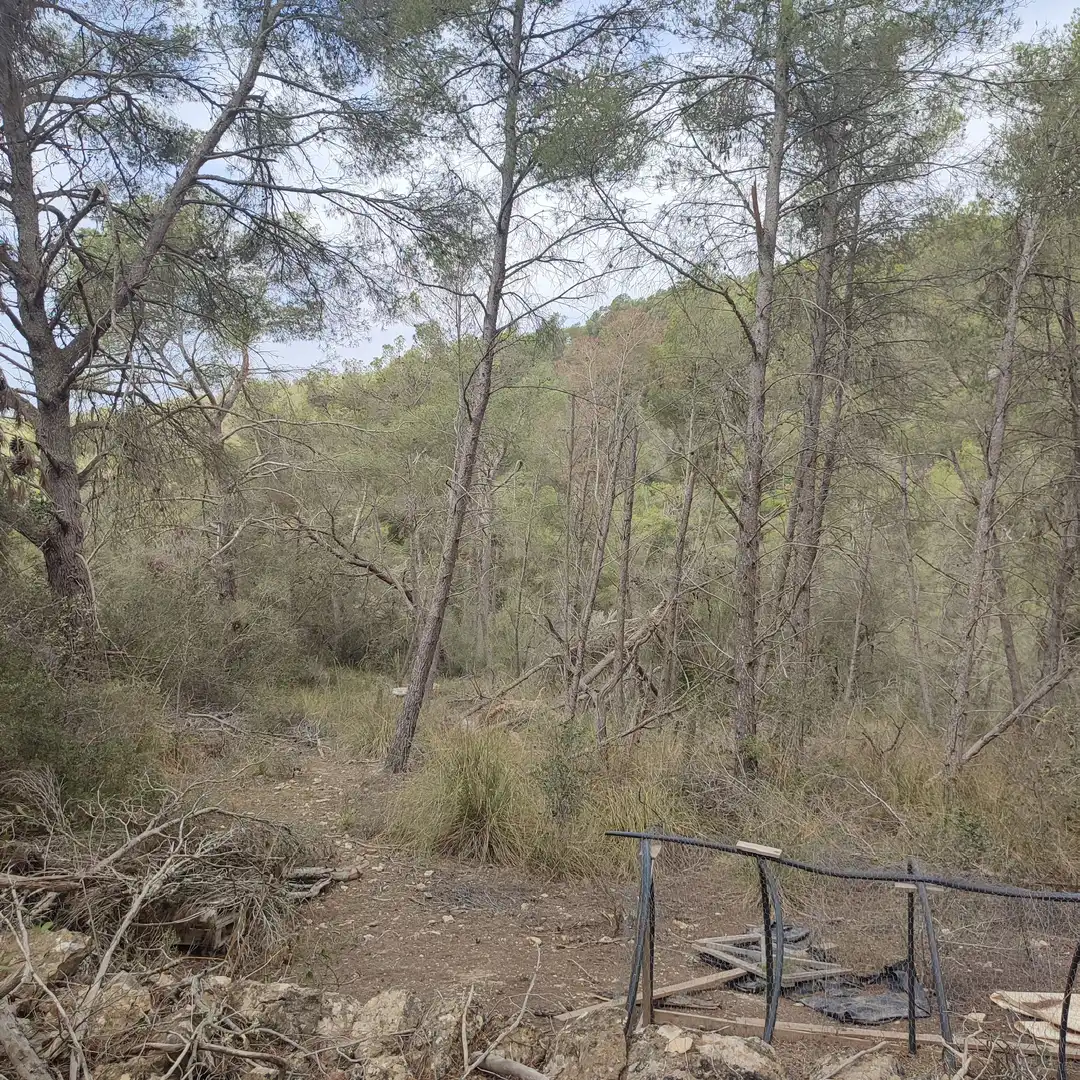 Rustikales Grundstück zum Verkauf in Vilafranca de Bonany, imagen 7