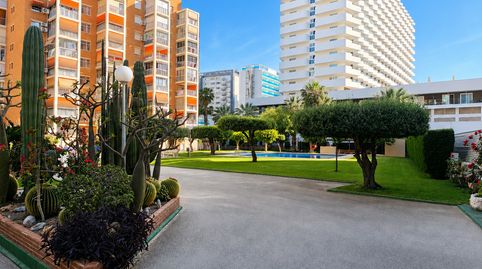 Foto 2 de Piso en venta en Juzgados - Plaza de Toros, Benidorm