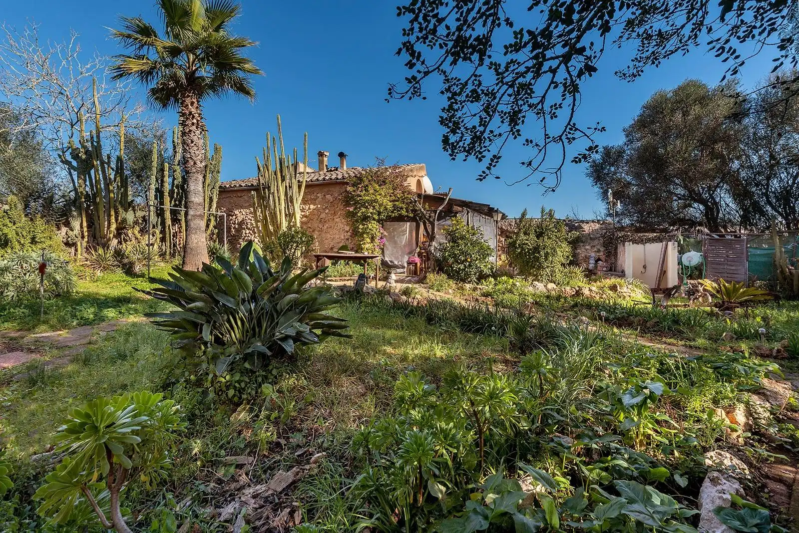 Country homes for rent in Campos poble