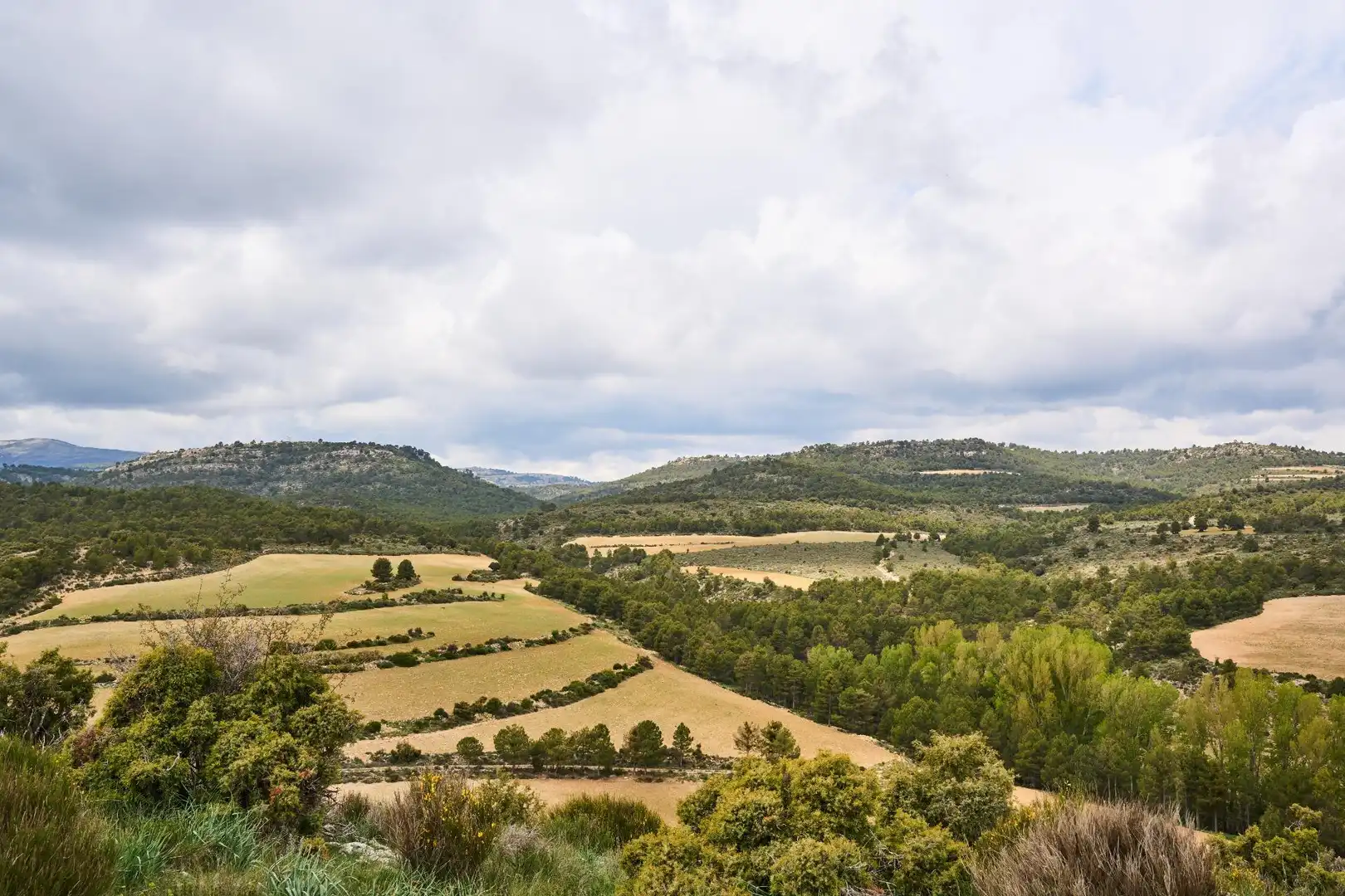 Finca rústica en venta en DISEMINADOS, 24, Puebla de Don Fadrique