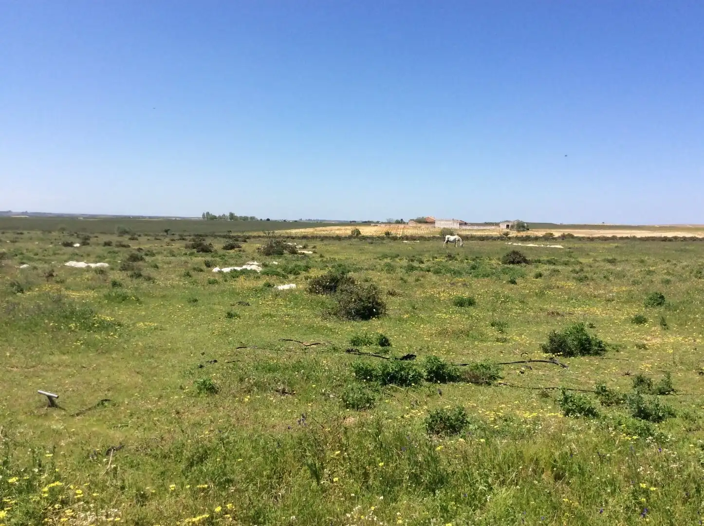 Land for sale in Almonte