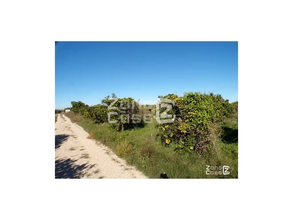 Maison rustique à vendre à Poligono Poligono 02, imagen 4