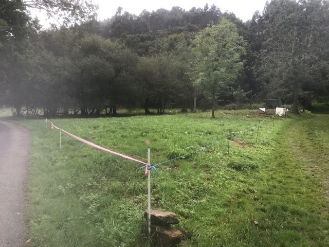 Casa o chalet en venta en Solórzano