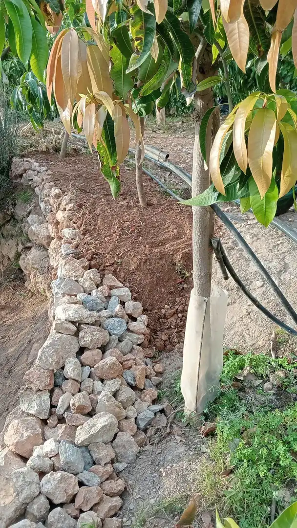 Terreni e lotti in vendita a PHPX+WF Gualchos, Spain, imagen 53