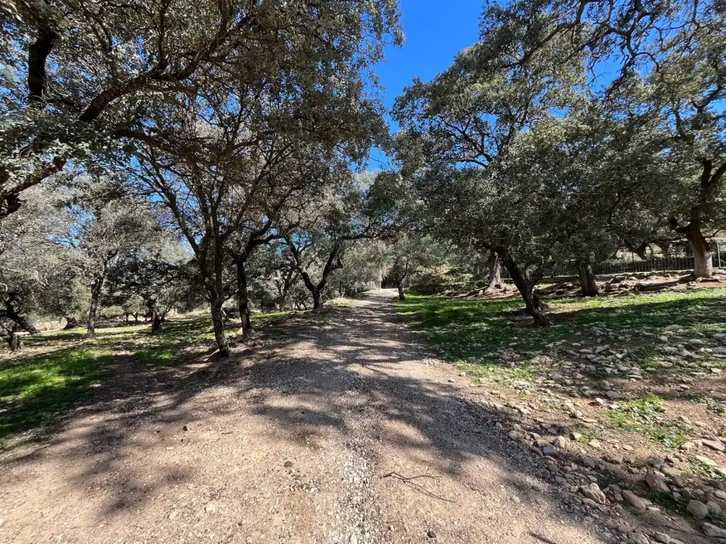 Finca rústica en venda en Ronda