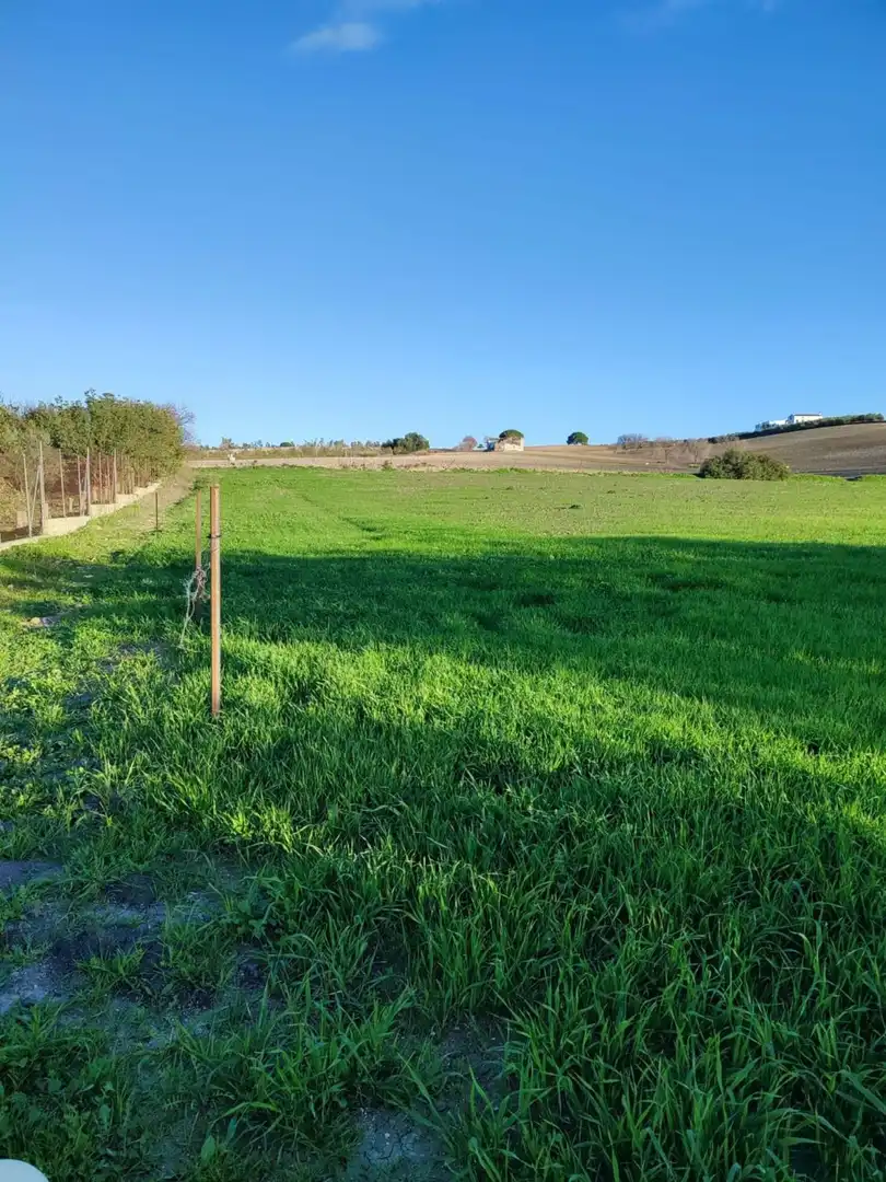 Terreno residencial en venta en Arcos de la Frontera, imagen 6